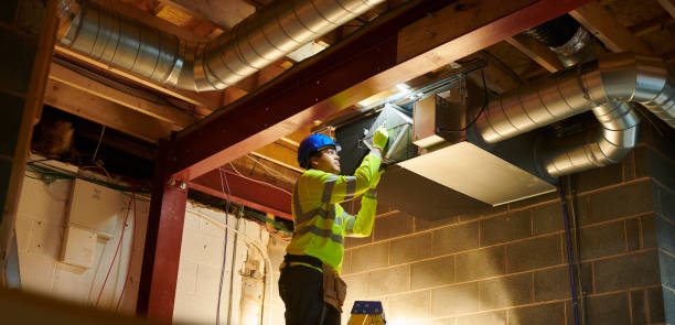 Best Air Duct Mold Removal  in Johnson City, TN