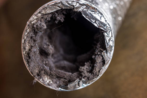 Best Affordable Air Duct Cleaning  in Johnson City, TN