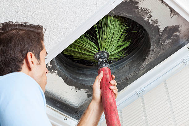 Best Air Duct Cleaning Near Me  in Johnson City, TN